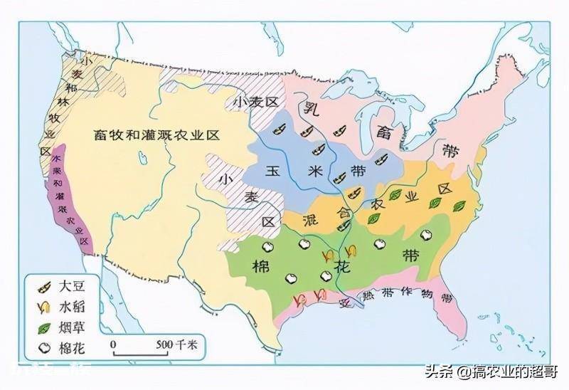 中国耕地面积占世界百分之几(我国的农业水平究竟如何)-图片2